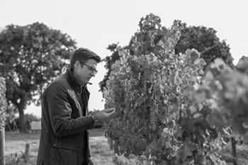 Winemaker, Robin Akhurst